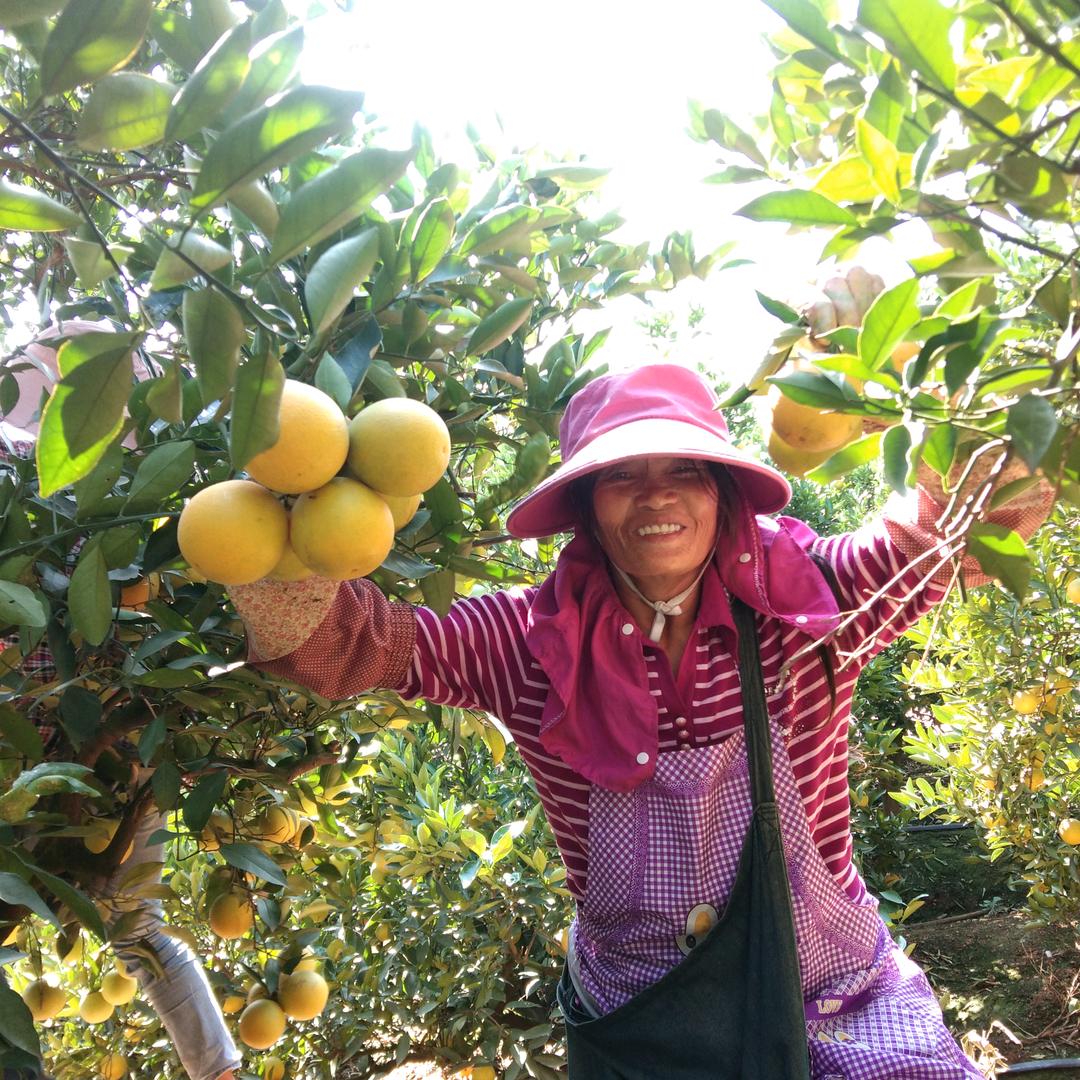 小陈妹