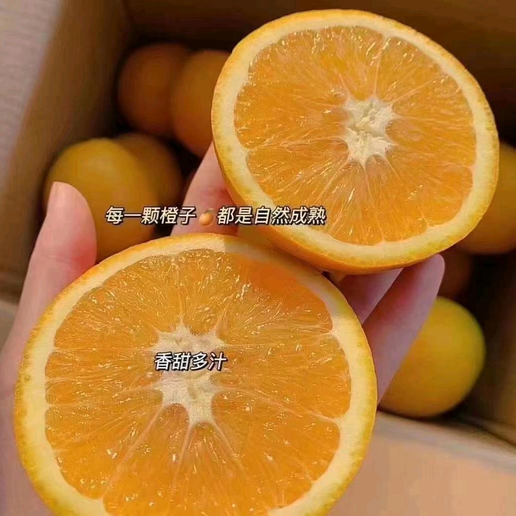 崔哥的哥