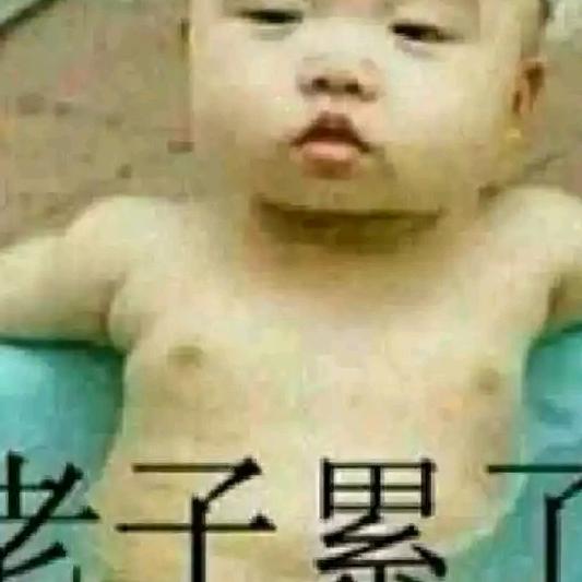 红尘中孤独的狼