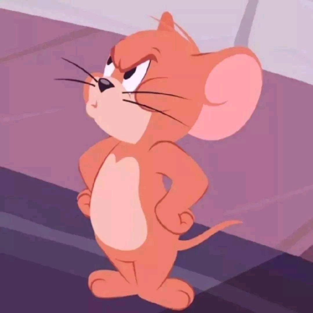 猫和老鼠🐭🐭（全集）