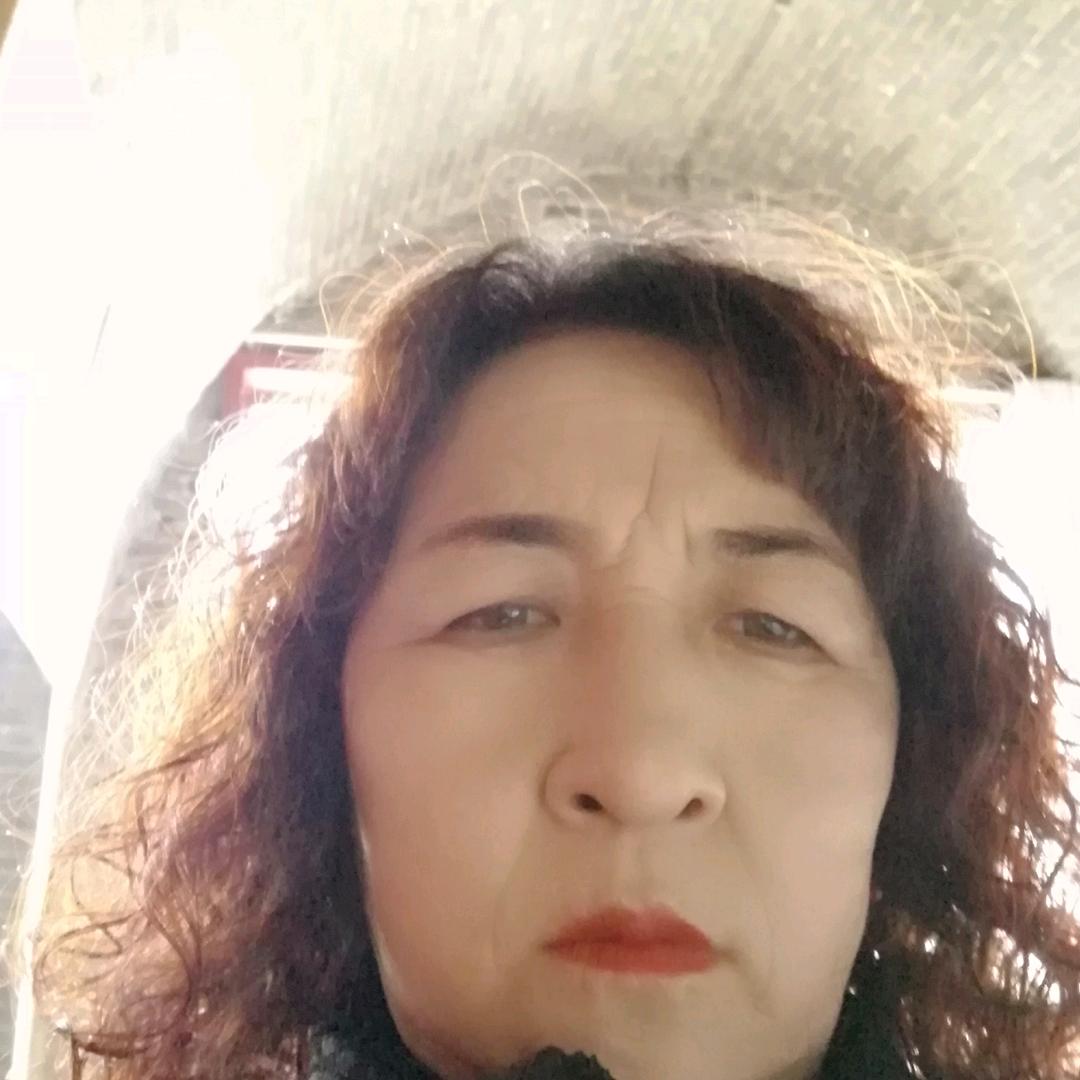 静栖蝉鸣
