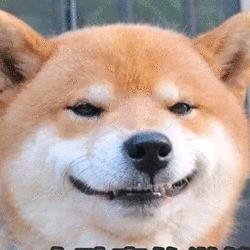 你看我头像帅不帅！