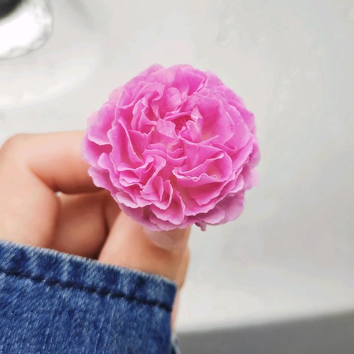 叁、月