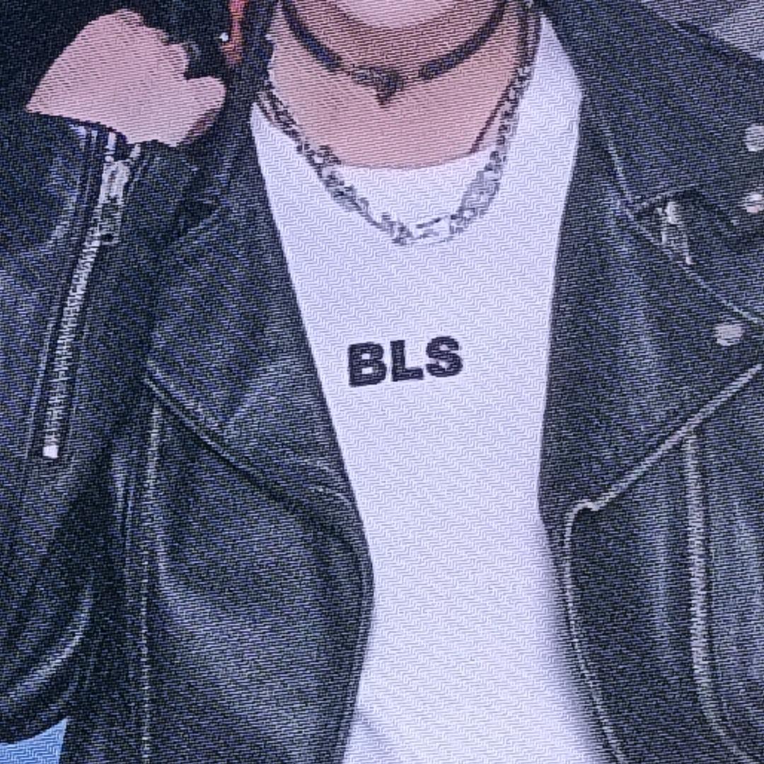 容少