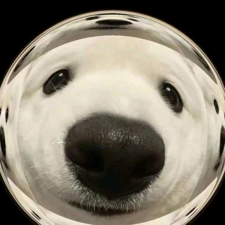 王牌可爱多头像