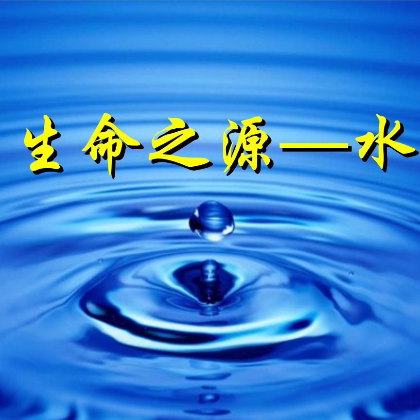 🌈我行我素