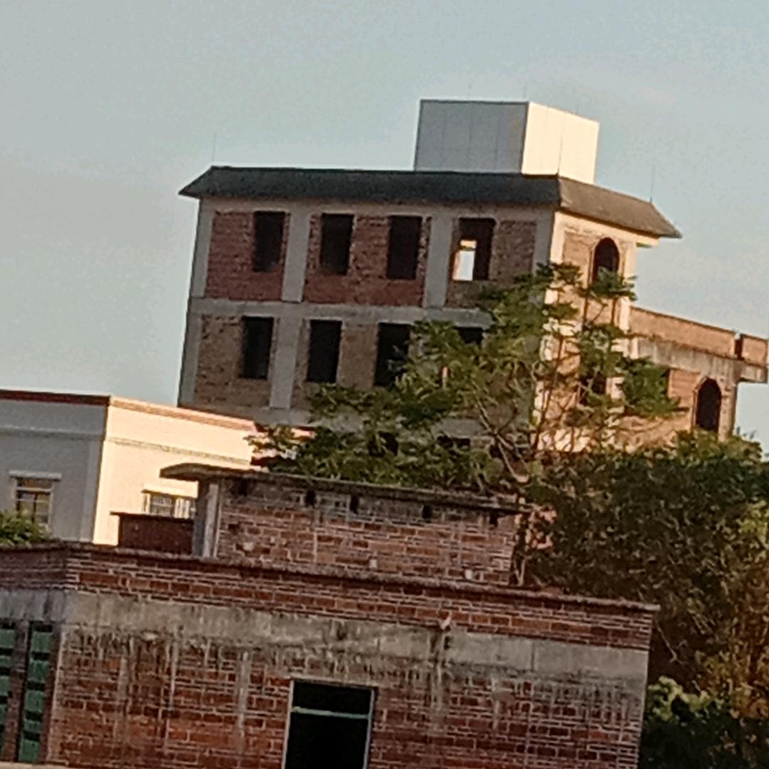 堂总直插麦皮大米店