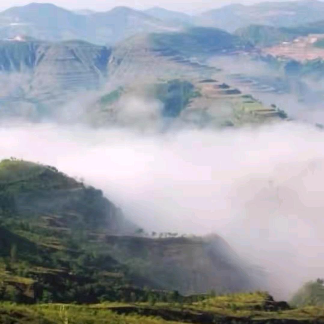 ༺他♧♞♡山༻