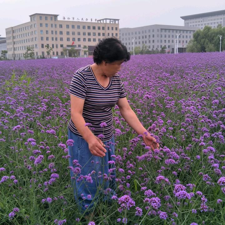 董志华