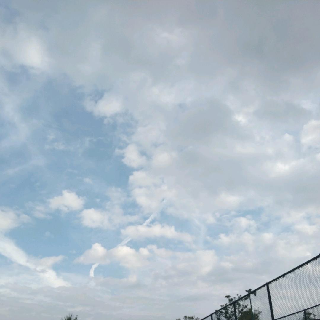 琼海花