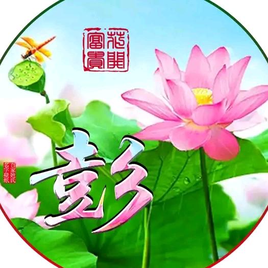 中峰劳务