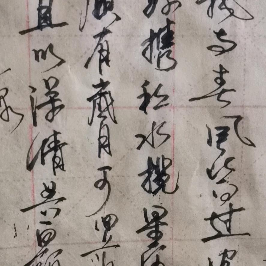 W社会