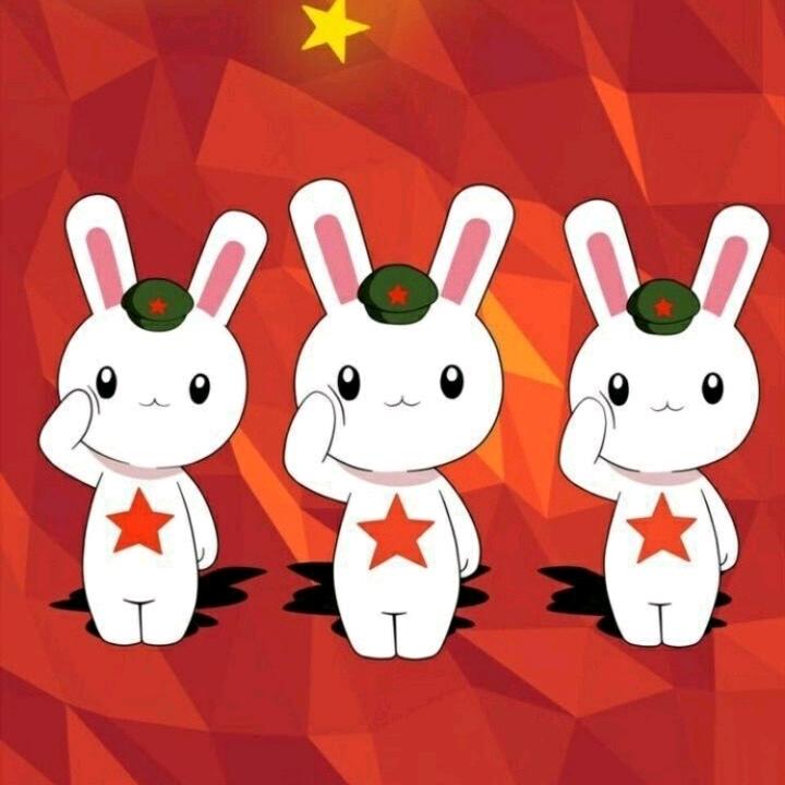 绿军帽的兔子
