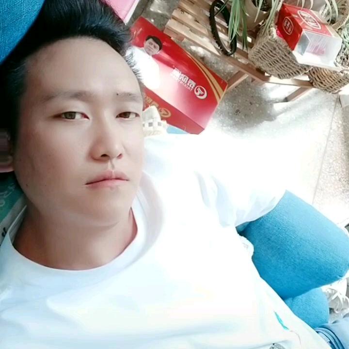 独臂杨雲
