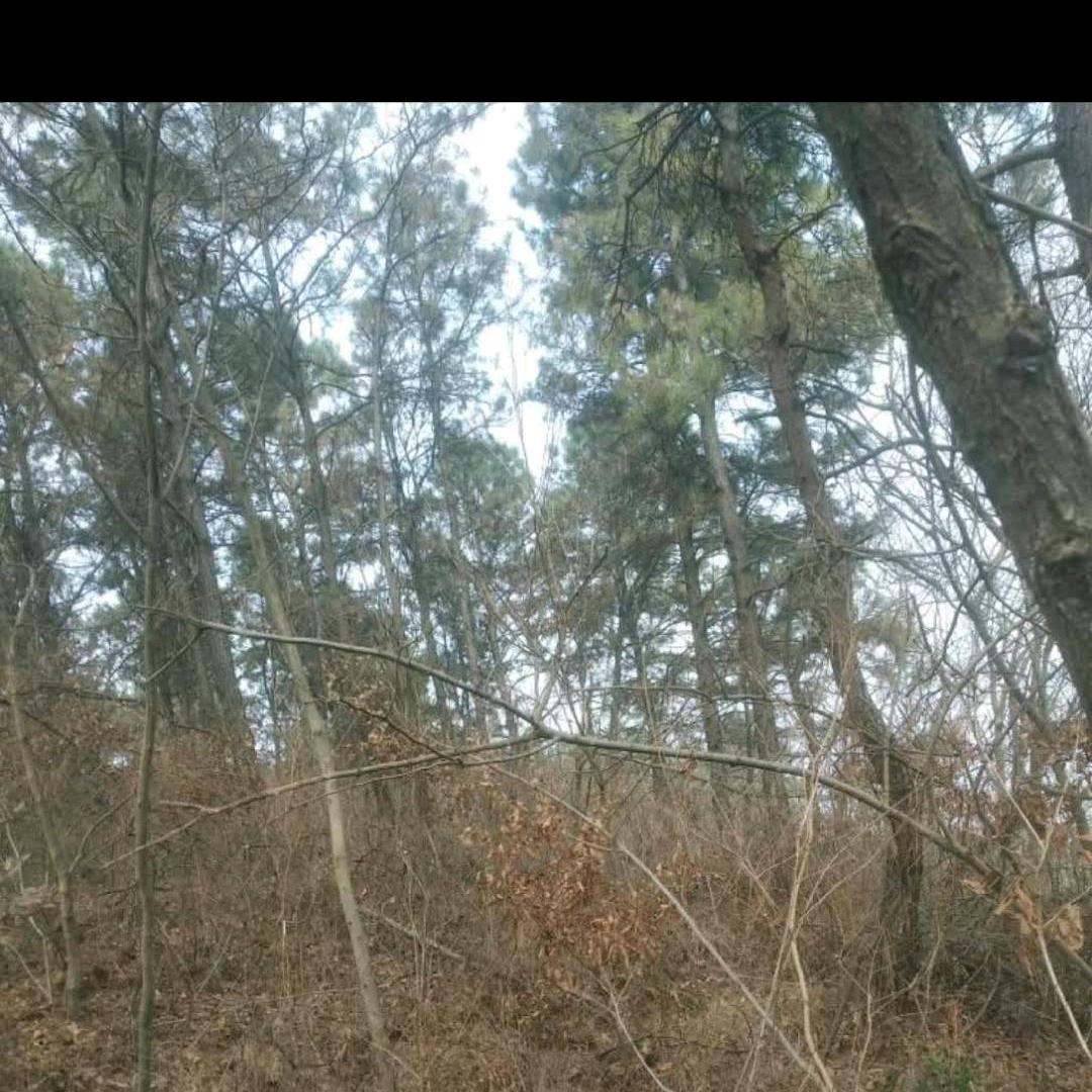 信阳罗山双桥