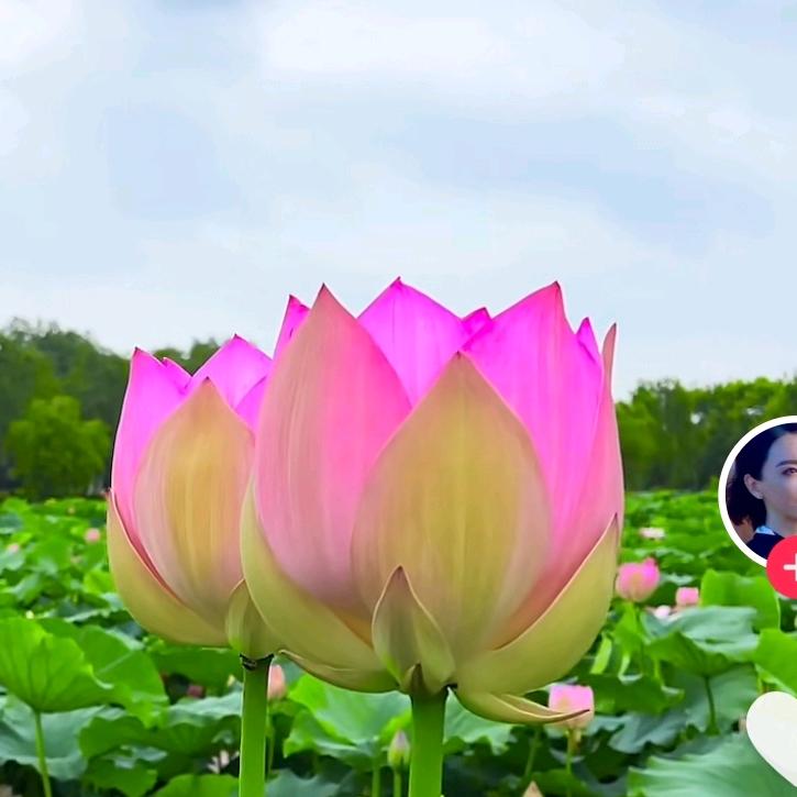 @越来越好