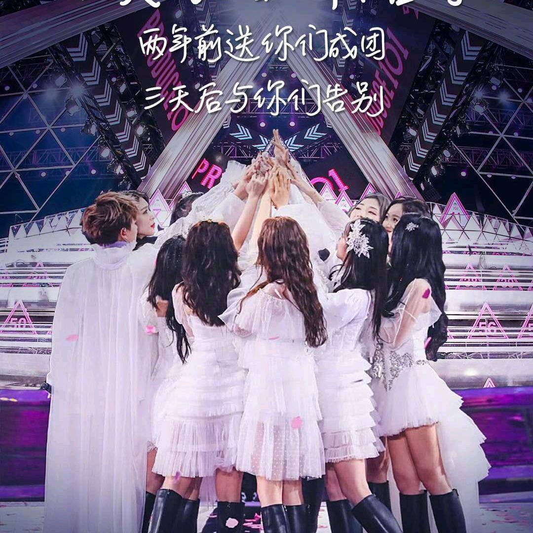 大白 💎（韩头发）