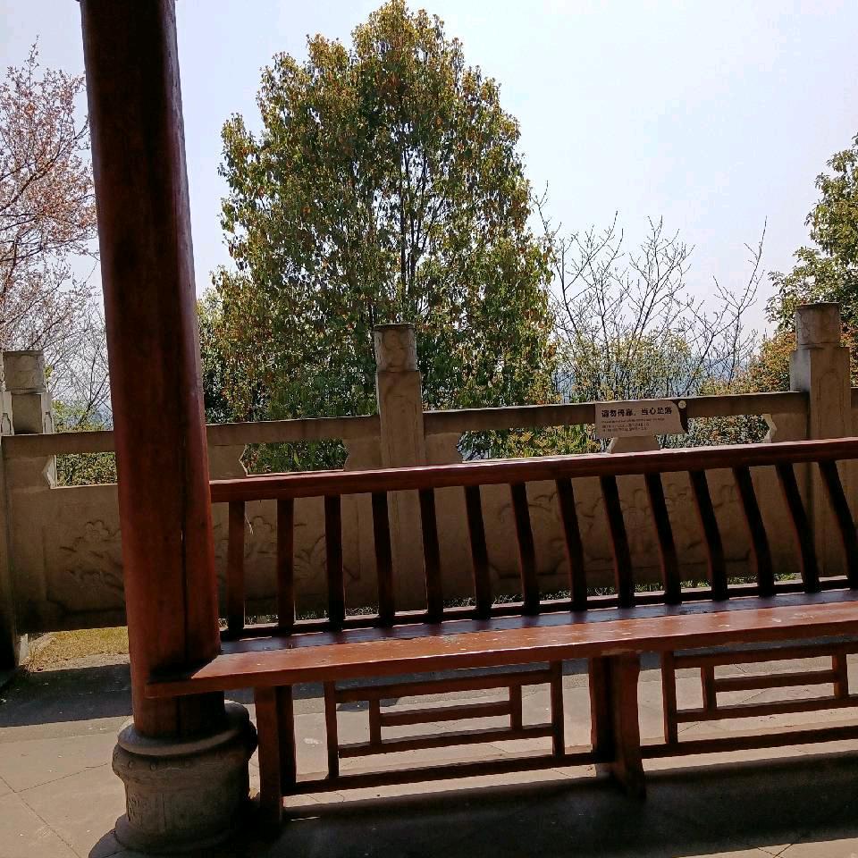 冷漠成空