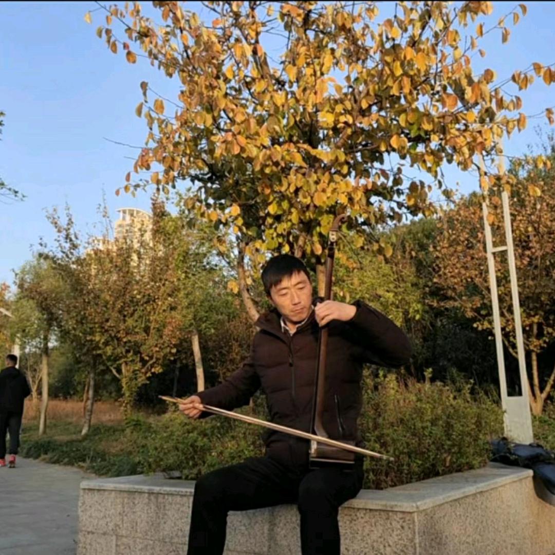 曲胡  王闯