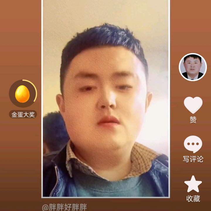 胖胖好胖胖