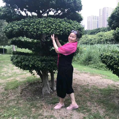 陈丽（好物分享）