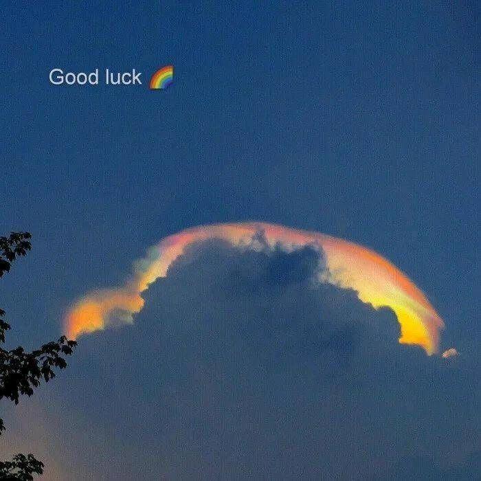 好大一只秋归🇨🇳