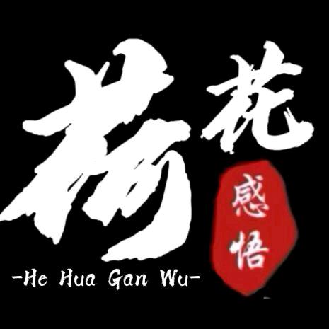 荷花感悟