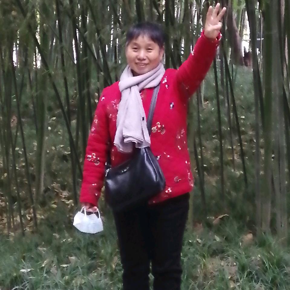 蓝花楹