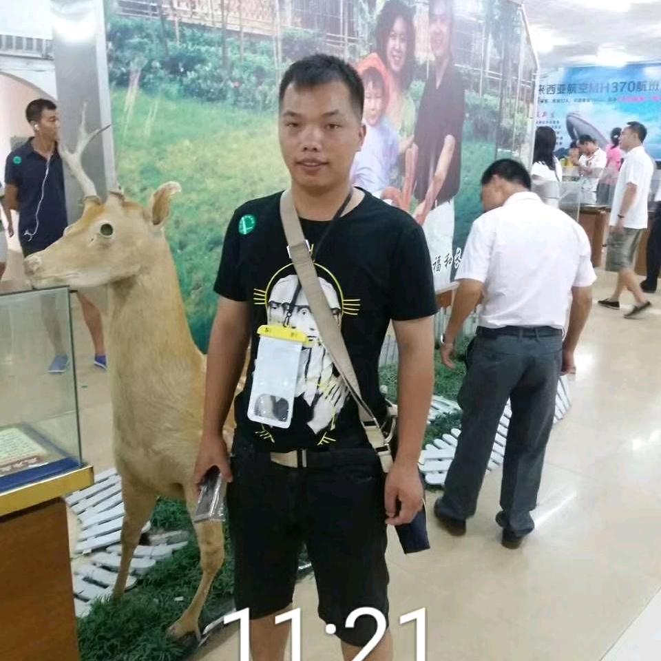 东哥象棋