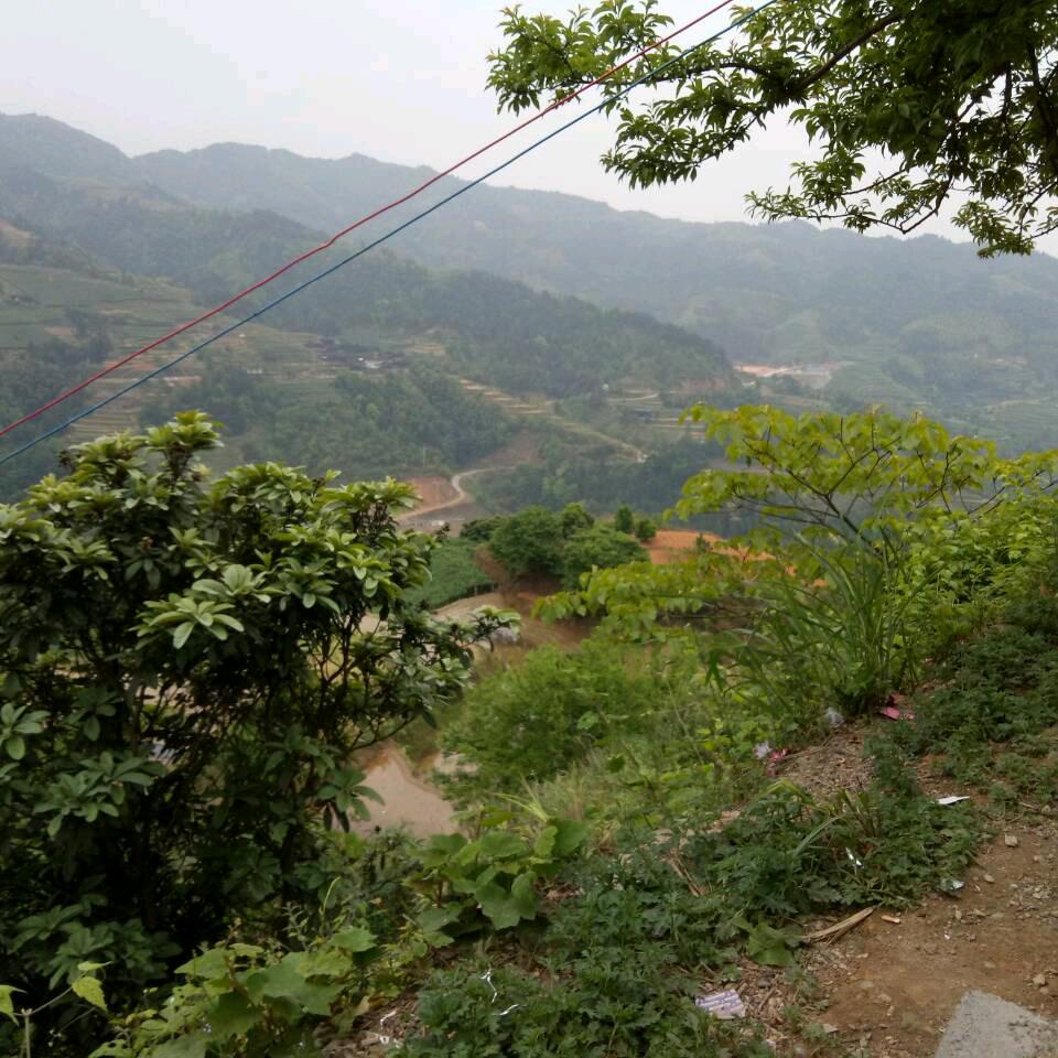 好人一生平安！！！