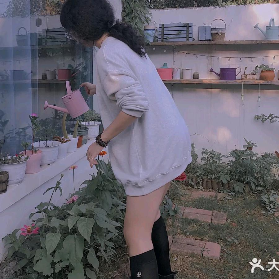 橘子皮🍊