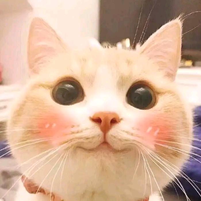 红鲤鱼与绿鲤鱼与驴