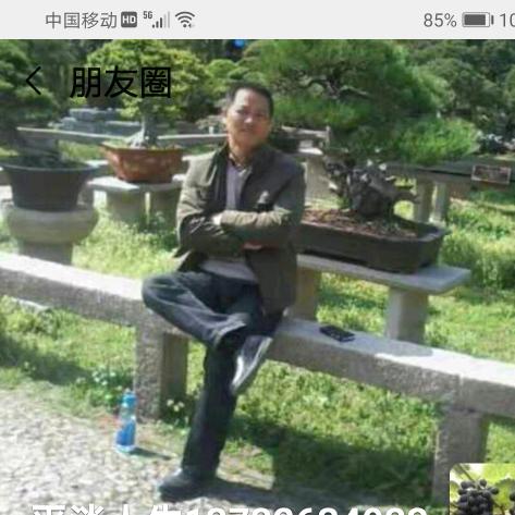 小鱼