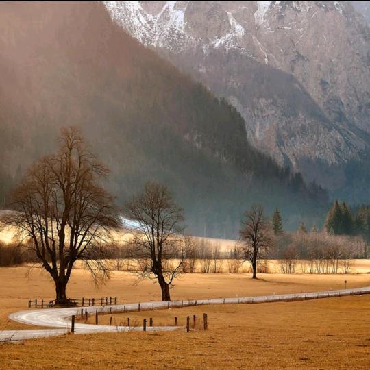 鱼的眼泪是海洋