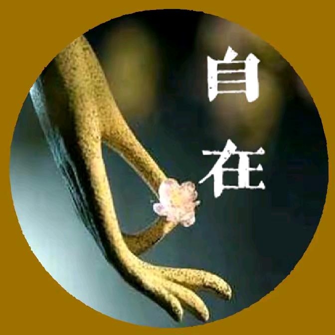 哥已不问江湖