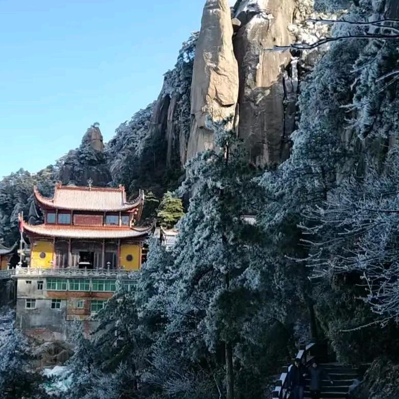 了欲求心