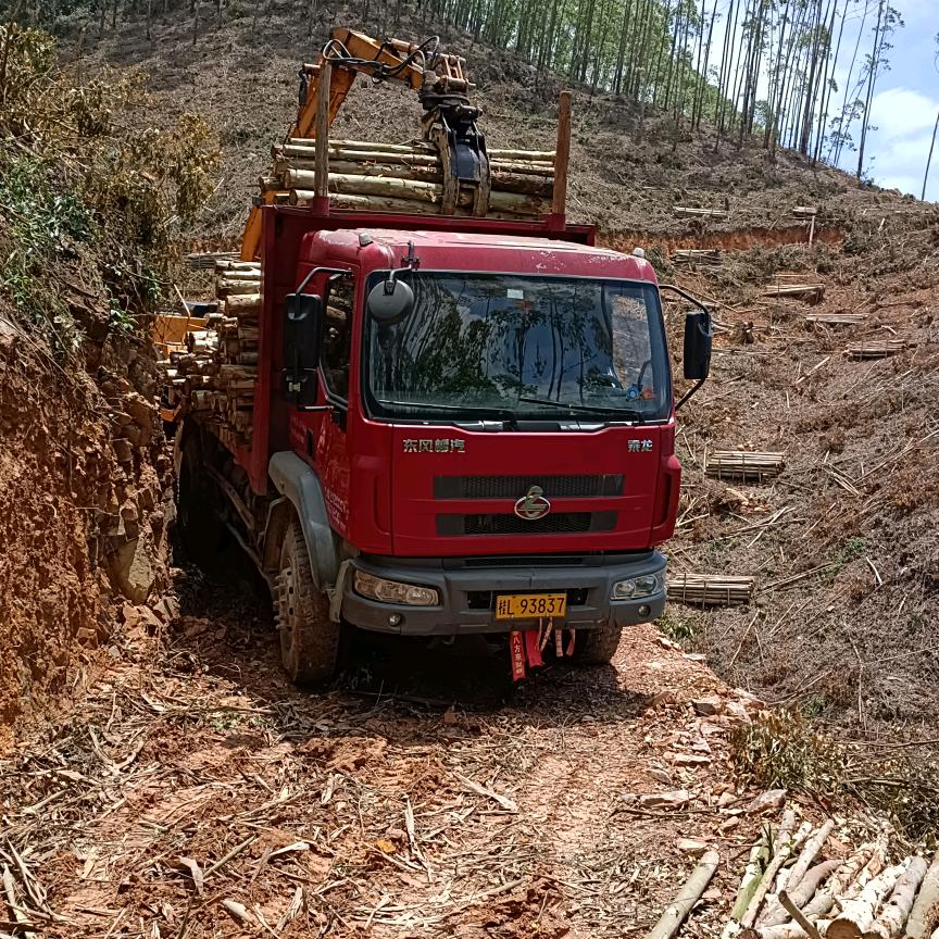 (●普通市民……