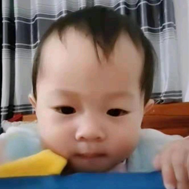 陳兄弟