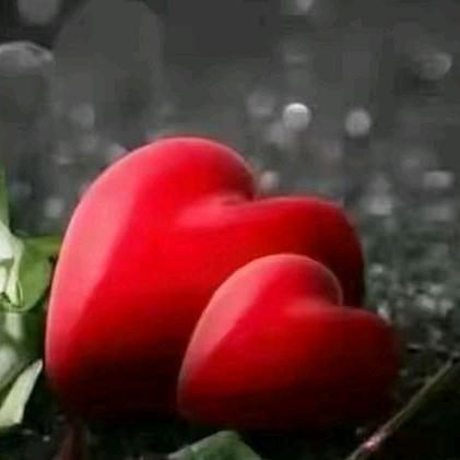 🦋🏇缘分🏇🦋