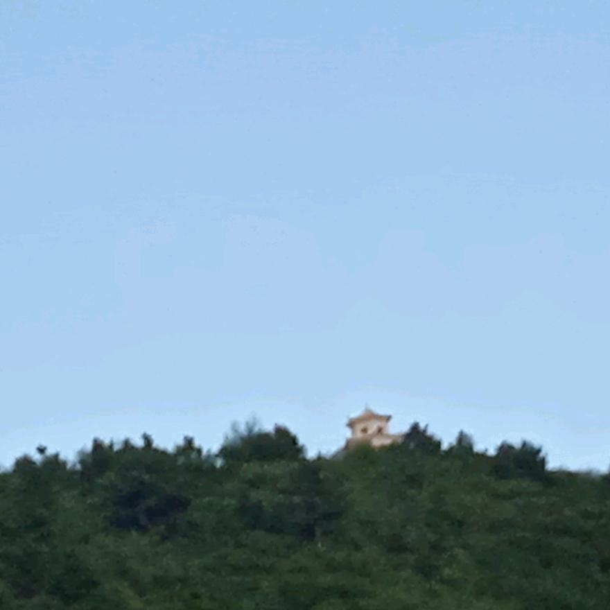 精彩人生