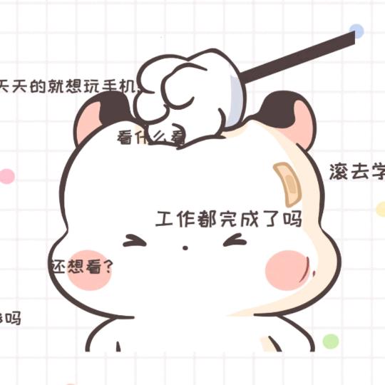 圆宝