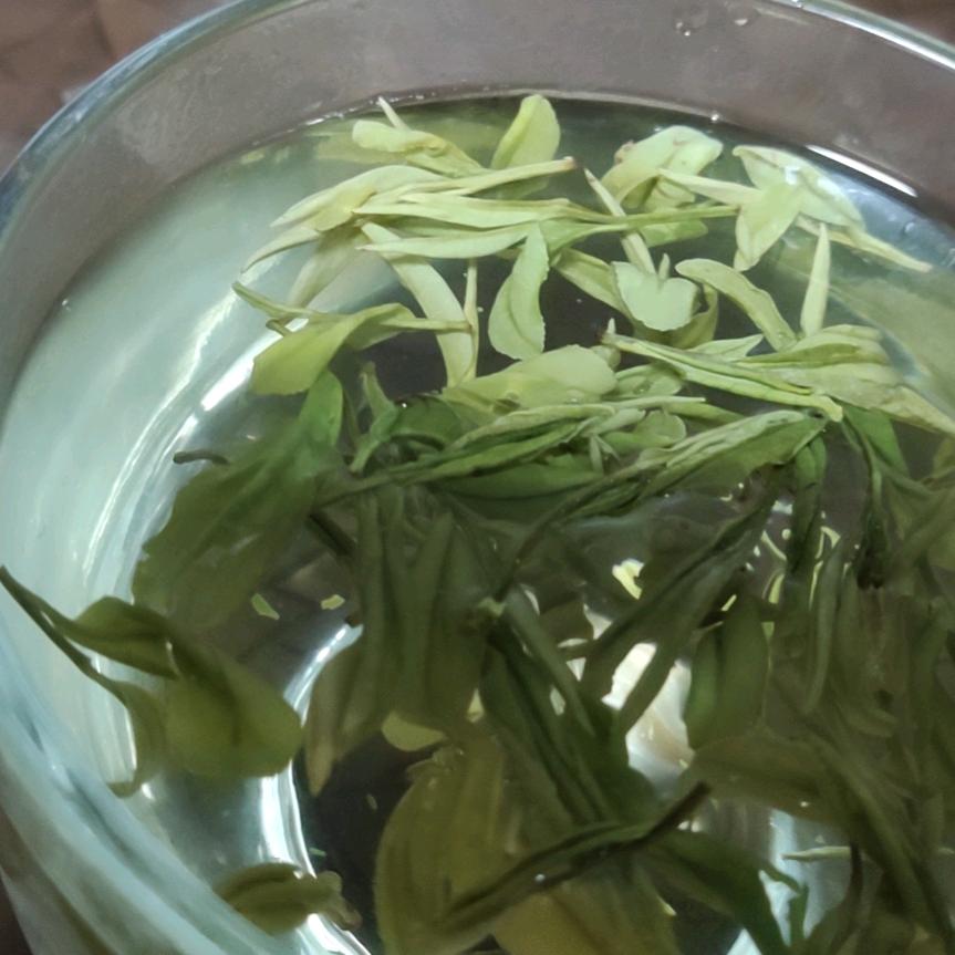 人生迷茫