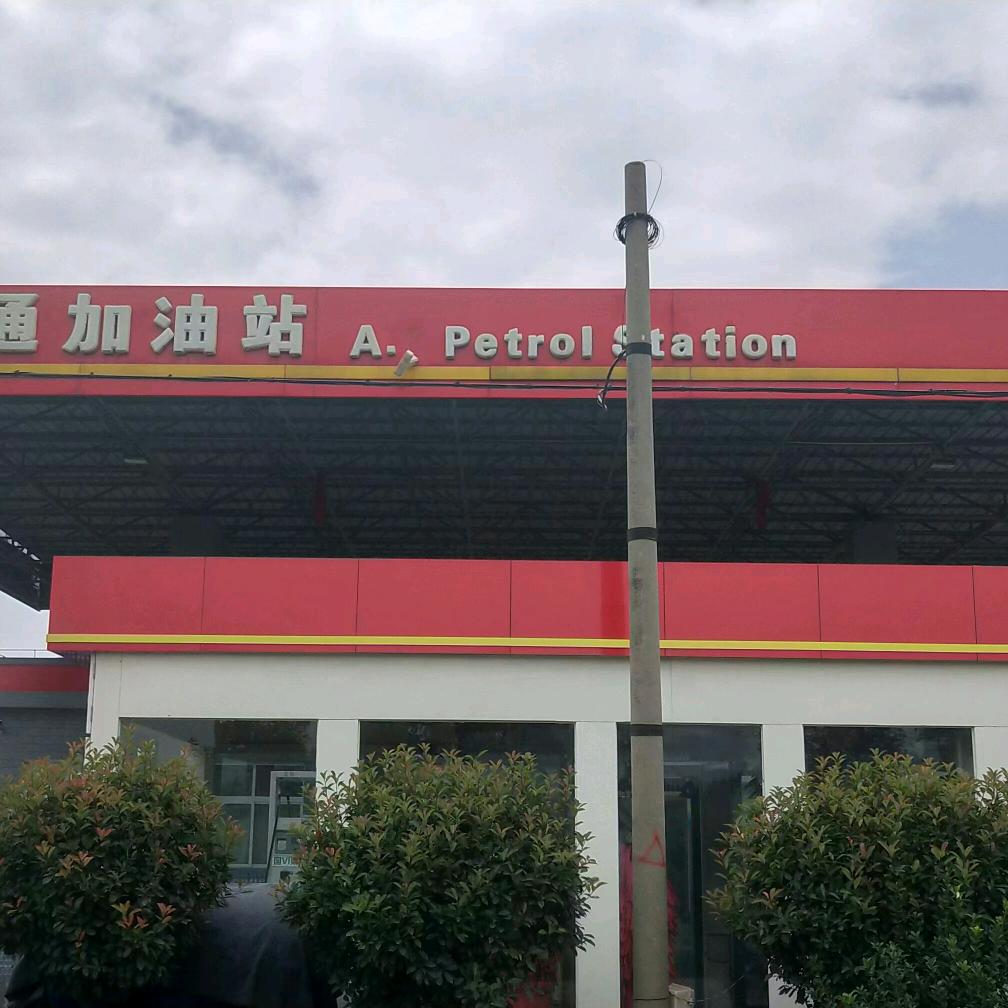 安通加油站赵琴