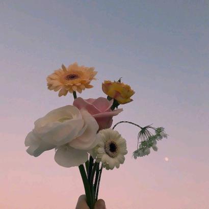 开心每一天🌸