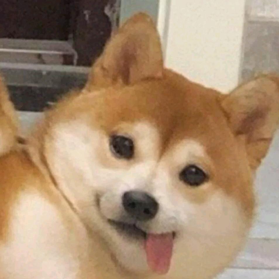 猪脑过载