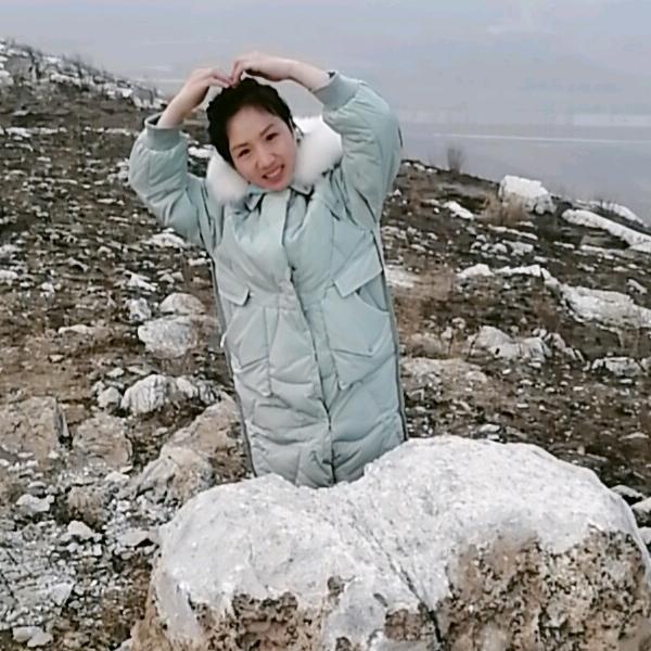翟苹果