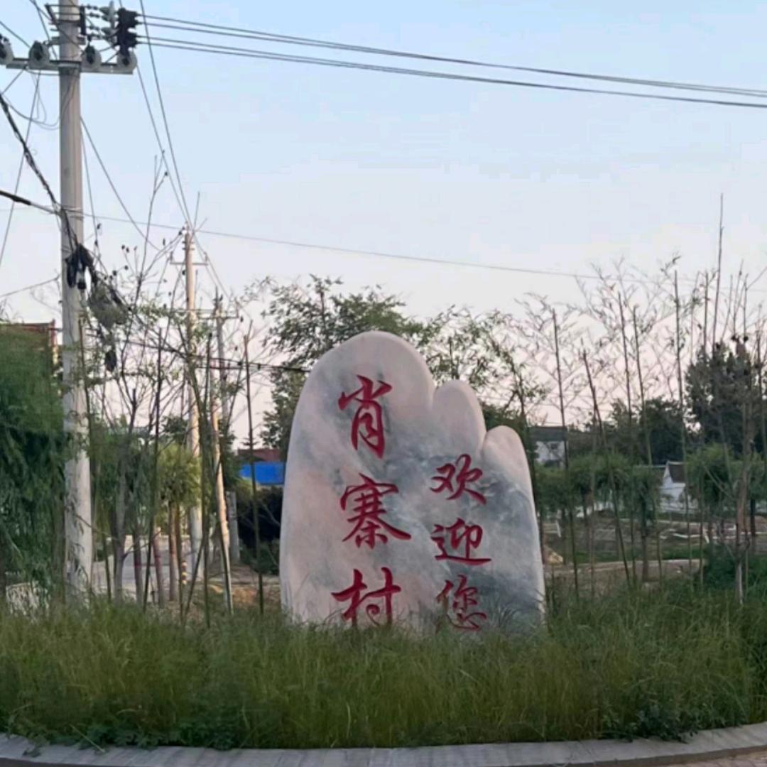 农村基层村干部