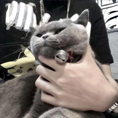 迷头像