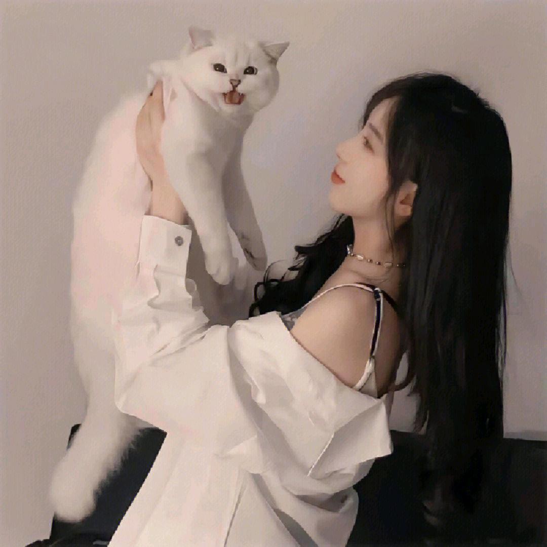 刺猬七七