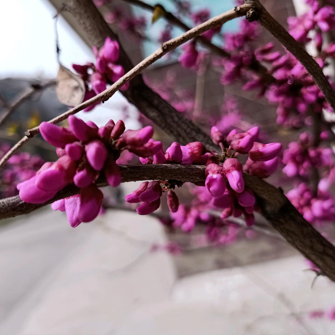 🌺那年初夏😍